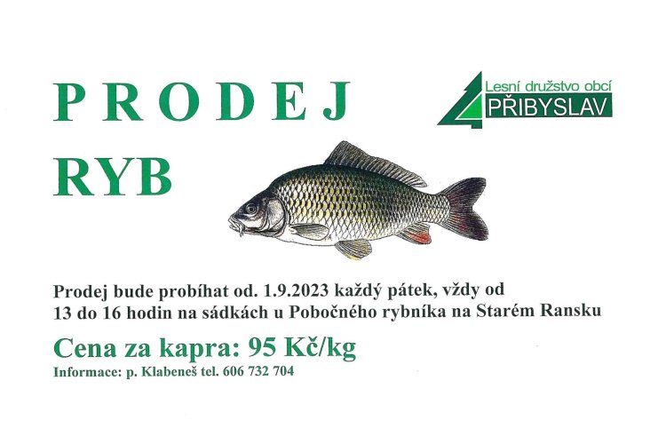 Prodej ryb na sádkách u Pobočného rybníka bude od 1.9. 2023 probíhat každý pátek od 13 do 16 hodin