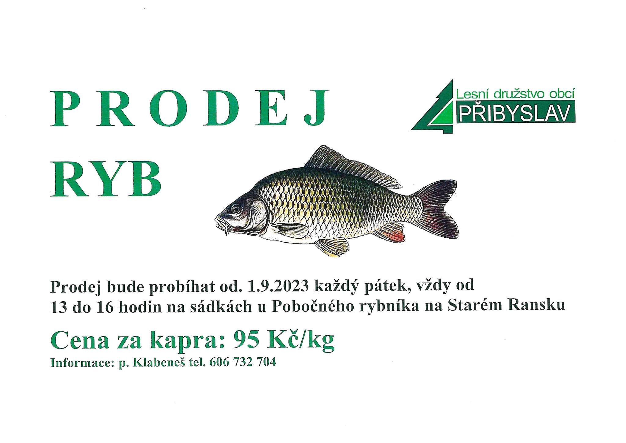 prodej-ryb-od-1