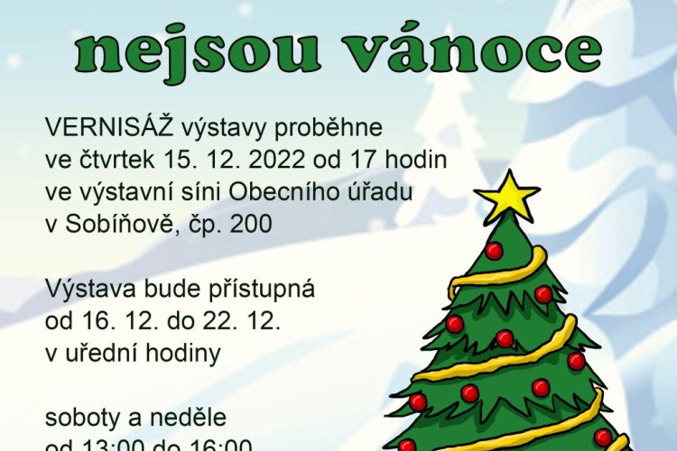 Soutěžní výstava "Bez stromečku nejsou Vánoce" už zná svého vítěze