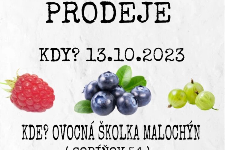 Podzimní prodej ovocných stromků, keřů a růží zahájí Ovocná školka Malochýn v pátek 13. října 2023