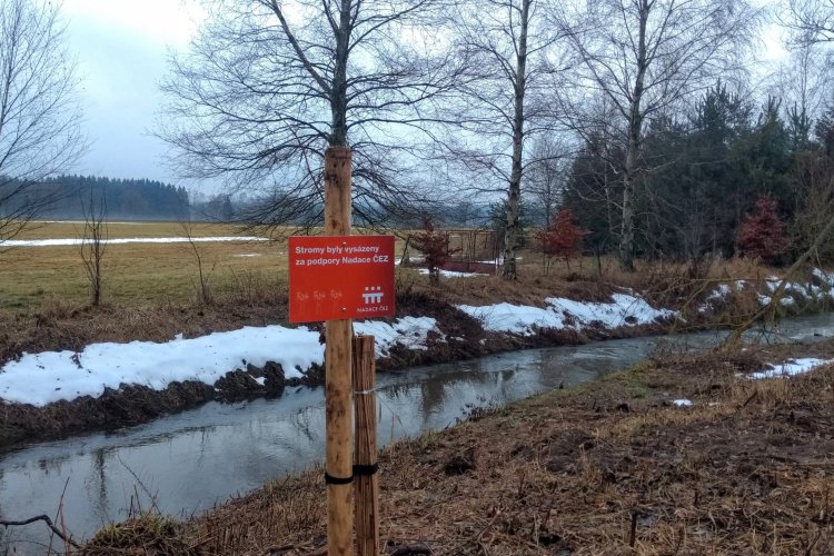 Město Ždírec nad Doubravou vysázelo stromy s podporou od Nadace ČEZ